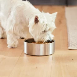 Frisco Insulated Non-Skid Flair Stainless Steel Dog & Cat Bowl -Frisco Shop 261753 PT5. AC SS1800 V1623937469