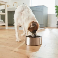 Frisco Insulated Non-Skid Stainless Steel Dog & Cat Bowl -Frisco Shop 261757 PT8. AC SS1800 V1623937364