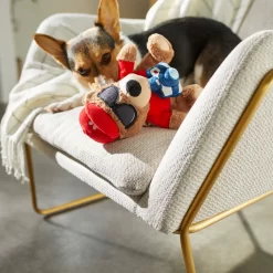 Frisco Road Trip Tourist Bear Plush Squeaky Dog Toy -Frisco Shop 261995 PT3. AC SS1800 V1618598730