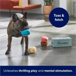 Frisco Macaron Interactive Plush Squeaky Dog Toy -Frisco Shop 264438 PT5. AC SS1800 V1686579089