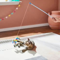 Frisco Pinata Teaser Wand Cat Toy With Catnip -Frisco Shop 264446 PT3. AC SS1800 V1618948636