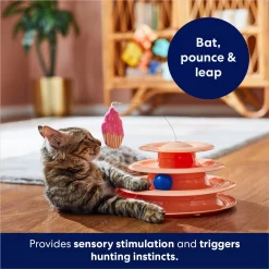 Frisco Birthday Cat Tracks Cat Toy 10 Frisco Birthday Cat Tracks Cat Toy -Frisco Shop 264460 PT5. AC SS1800 V1691785246