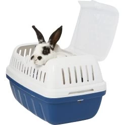 Frisco Top Entry Two-Toned Small Pet Carrier -Frisco Shop 264931 PT2. AC SS1800 V1617739934