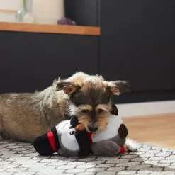 Frisco Magic Owl Plush Squeaky Dog Toy -Frisco Shop 265596 PT3. AC SS1800 V1623352167