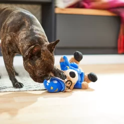 Frisco Magic Wizard Bear Plush Squeaky Dog Toy -Frisco Shop 265604 PT3. AC SS1800 V1623352109