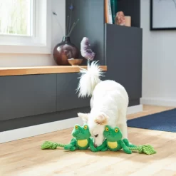 Frisco Magic Frog Plush With Rope Squeaky Dog Toy 5 Frisco Magic Frog Plush With Rope Squeaky Dog Toy -Frisco Shop 265606 PT3. AC SS1800 V1620938889