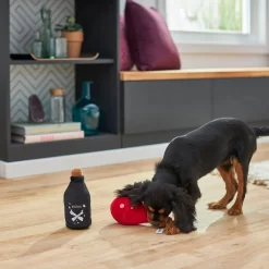 Frisco Magic Potions Plush Squeaky Dog Toy -Frisco Shop 265618 PT3. AC SS1800 V1620939183