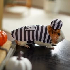 Frisco Prisoner Guinea Pig Costume, One Size -Frisco Shop 265897 PT8. AC SS1800 V1624339171