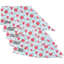 Frisco Watermelons Personalized Dog & Cat Bandana -Frisco Shop 267458 PT4. AC SS1800 V1632428809