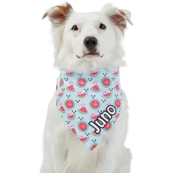 Frisco Watermelons Personalized Dog & Cat Bandana -Frisco Shop 267458 PT6. AC SS1800 V1632432415