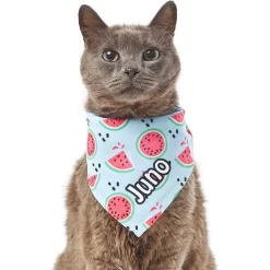 Frisco Watermelons Personalized Dog & Cat Bandana -Frisco Shop 267458 PT7. AC SS1800 V1632432684