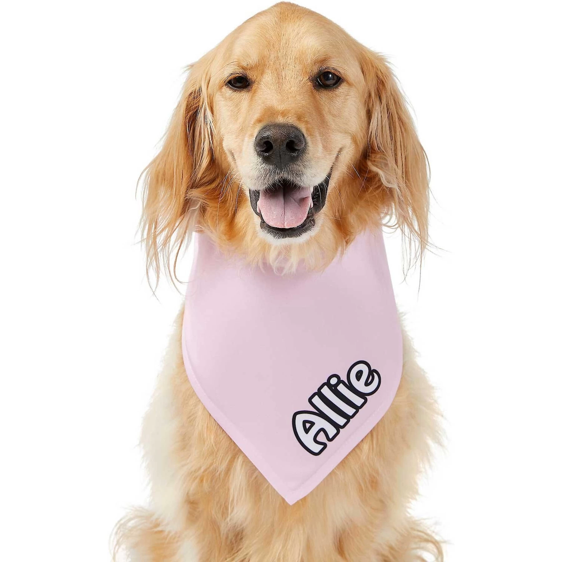 Frisco Solid Pastel Personalized Dog & Cat Bandana 7 Frisco Solid Pastel Personalized Dog & Cat Bandana - Image 7