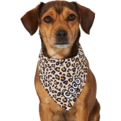 Frisco Leopard Print Personalized Dog & Cat Bandana -Frisco Shop 267543 PT7. AC SS1800 V1623164552