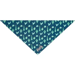 Frisco Cactus Personalized Dog & Cat Bandana -Frisco Shop 267551 PT3. AC SS1800 V1623093806