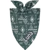 Frisco Boho Geo Personalized Dog & Cat Bandana
