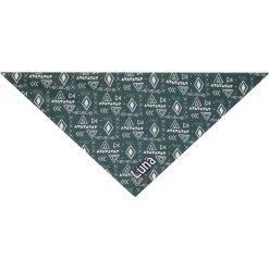 Frisco Boho Geo Personalized Dog & Cat Bandana 11 Frisco Boho Geo Personalized Dog & Cat Bandana -Frisco Shop 267559 PT3. AC SS1800 V1623094369