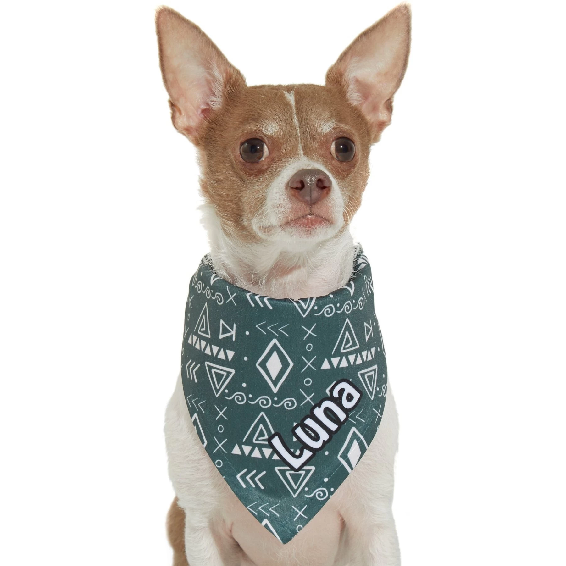 Frisco Boho Geo Personalized Dog & Cat Bandana 7 Frisco Boho Geo Personalized Dog & Cat Bandana - Image 7