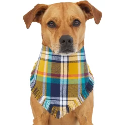 Frisco Blue/Yellow Plaid Dog & Cat Flannel Bandana 10 Frisco Blue/Yellow Plaid Dog & Cat Flannel Bandana -Frisco Shop 267901 PT2. AC SS1800 V1637717796