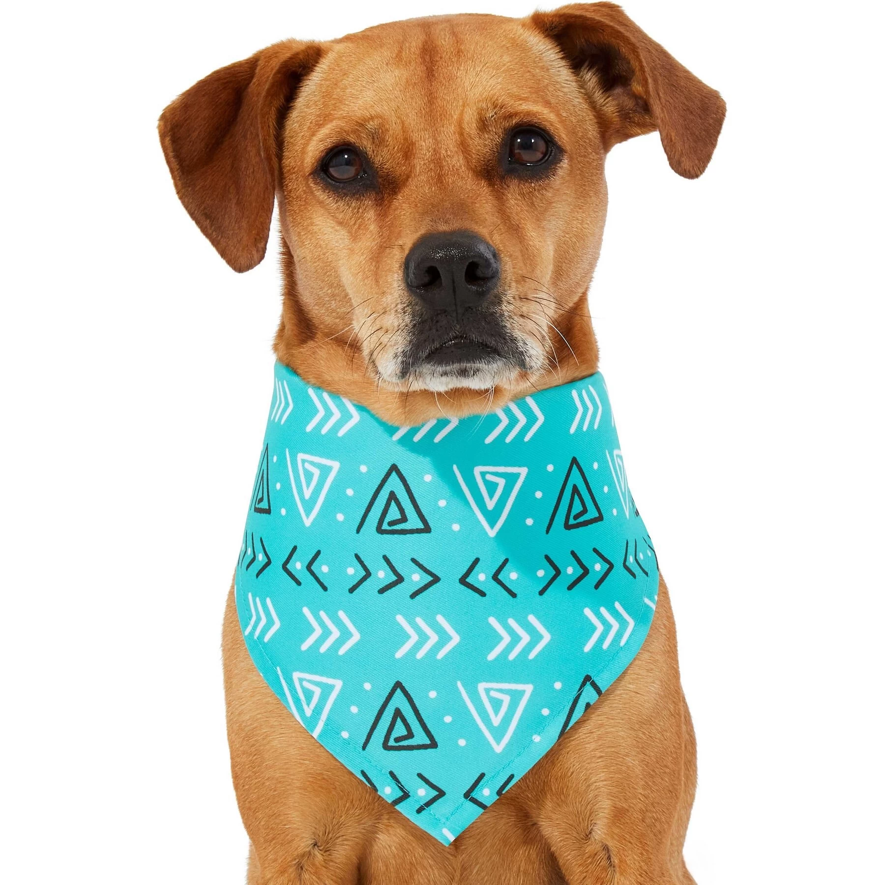 Frisco Geometric Dog & Cat Bandana 3 Frisco Geometric Dog & Cat Bandana - Image 3