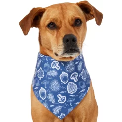 Frisco Fall Vibes Dog & Cat Bandana -Frisco Shop 267913 PT2. AC SS1800 V1637722647