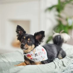 Frisco Wintry Vibes Dog & Cat Bandana -Frisco Shop 267916 PT5. AC SS1800 V1637707673