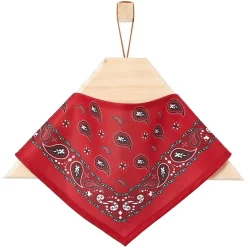 Frisco Red Paisley Dog & Cat Bandana