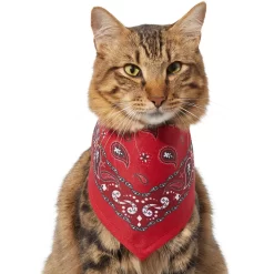 Frisco Red Paisley Dog & Cat Bandana -Frisco Shop 267919 PT3. AC SS1800 V1637652719