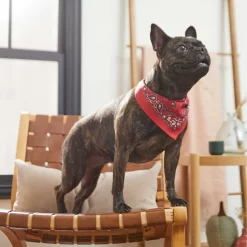 Frisco Red Paisley Dog & Cat Bandana -Frisco Shop 267919 PT5. AC SS1800 V1637687581