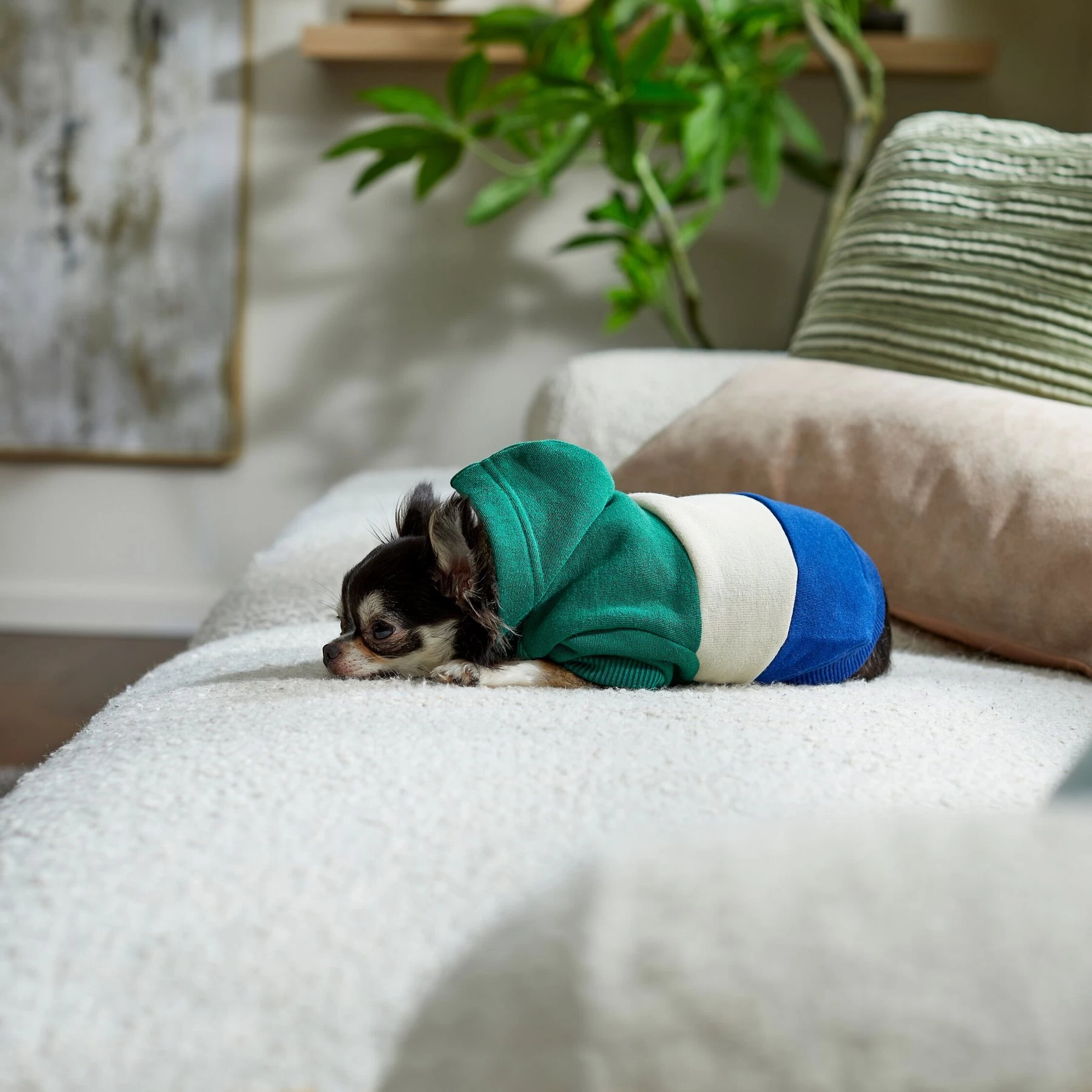 Frisco Colorblock Dog & Cat Hoodie With Sleeves 8 Frisco Colorblock Dog & Cat Hoodie With Sleeves - Image 8