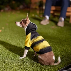 Frisco Rebel Dog & Cat Hoodie 14 Frisco Rebel Dog & Cat Hoodie -Frisco Shop 267994 PT6. AC SS1800 V1637730463