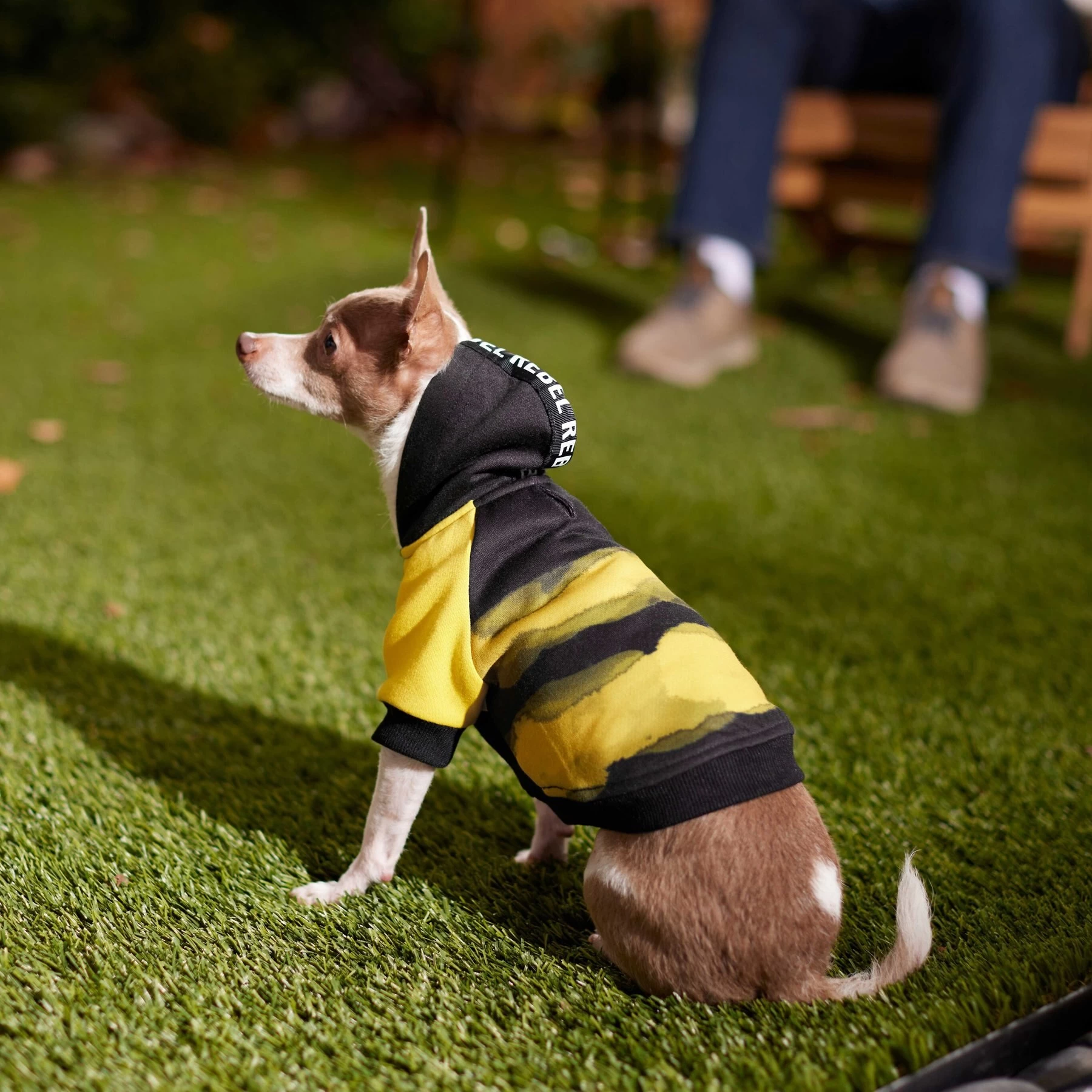 Frisco Rebel Dog & Cat Hoodie 7 Frisco Rebel Dog & Cat Hoodie - Image 7