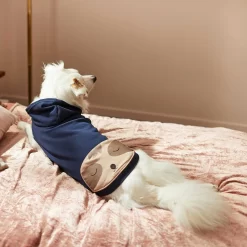 Frisco Sloth Pocket Dog & Cat Lightweight Hoodie -Frisco Shop 268018 PT6. AC SS1800 V1637730205