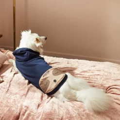 Frisco Sloth Pocket Dog & Cat Lightweight Hoodie -Frisco Shop 268018 PT8. AC SS1800 V1629761810