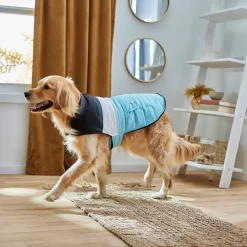 Frisco Mediumweight Colorblock Insulated Dog & Cat Puffer Coat With Pocket, Blue -Frisco Shop 268311 PT8. AC SS1800 V1629766581