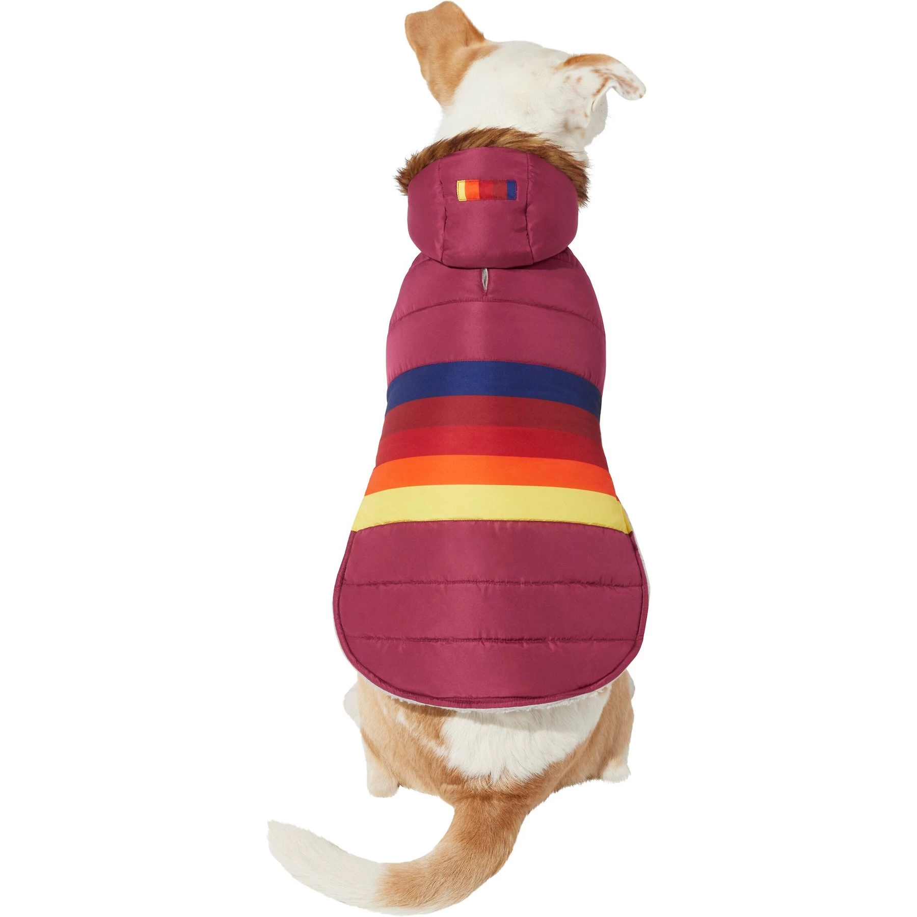 Frisco Mediumweight Colorblock Adventure Insulated Dog & Cat Parka 1 Frisco Mediumweight Colorblock Adventure Insulated Dog & Cat Parka