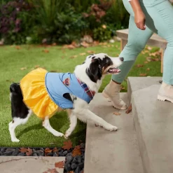 Frisco Chambray Plaid Dog & Cat Dress -Frisco Shop 268637 PT6. AC SS1800 V1637730174