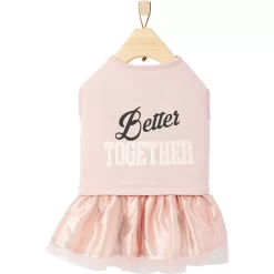 Frisco Better Together Dog & Cat Dress