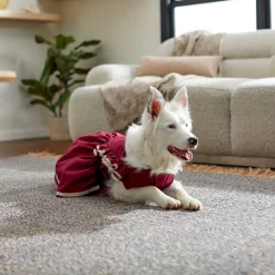 Frisco Plum Dog & Cat Dress -Frisco Shop 268677 PT5. AC SS1800 V1637675815