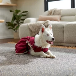 Frisco Plum Dog & Cat Dress -Frisco Shop 268677 PT8. AC SS1800 V1629766023