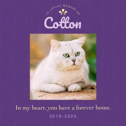 Frisco Personalized "Forever Home" Memorial Ceramic Photo Tile With Stand, 8" X 10" -Frisco Shop 268719 PT2. AC SS1800 V1619198214