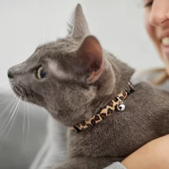 Leopard Print Cat Collar -Frisco Shop 269496 PT4. AC SS1800 V1617037438