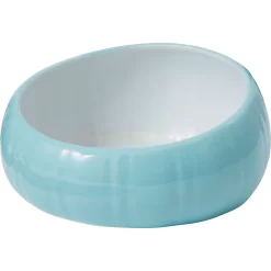 Frisco Slanted Ceramic Dog Bowl