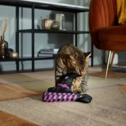 Frisco Halloween Witch Hat & Legs Plush Cat Toy With Catnip, 2 Count 6 Frisco Halloween Witch Hat & Legs Plush Cat Toy With Catnip, 2 Count -Frisco Shop 270305 PT3. AC SS1800 V1624817161