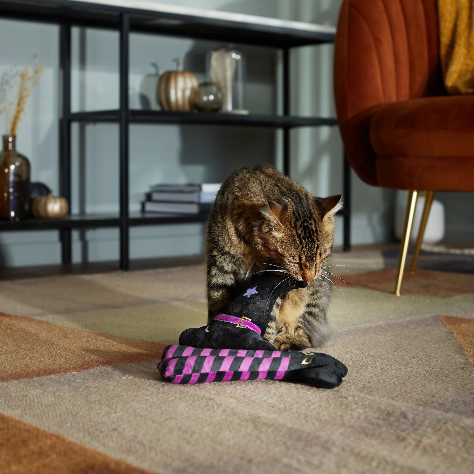 Frisco Halloween Witch Hat & Legs Plush Cat Toy With Catnip, 2 Count 3 Frisco Halloween Witch Hat & Legs Plush Cat Toy With Catnip, 2 Count - Image 3