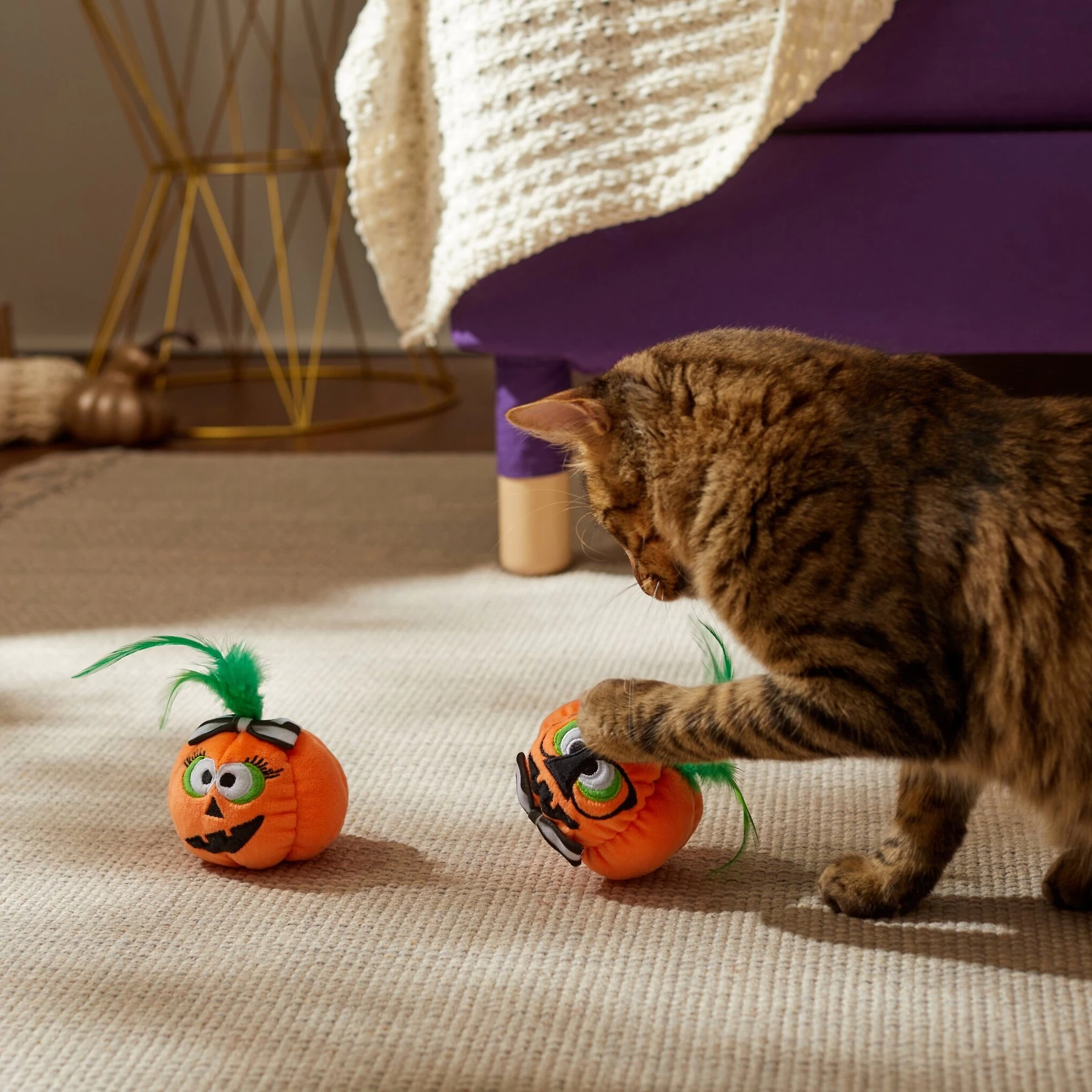 Frisco Halloween Nerdy Jack-o-Lanterns Plush Cat Toy With Catnip, 2 Count 3 Frisco Halloween Nerdy Jack-o-Lanterns Plush Cat Toy With Catnip, 2 Count - Image 3