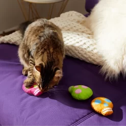 Frisco Colorful Skulls Plush Cat Toy With Catnip, 3 Count -Frisco Shop 270325 PT3. AC SS1800 V1630350992