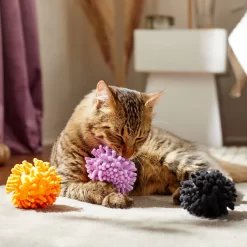 Frisco Halloween Moppy Ball Cat Toy With Catnip -Frisco Shop 270337 PT3. AC SS1800 V1624817812