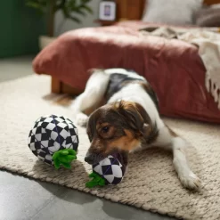 Frisco Halloween Fancy Pumpkin 2-in-1 Plush Squeaky Dog Toy -Frisco Shop 270359 PT3. AC SS1800 V1624817665