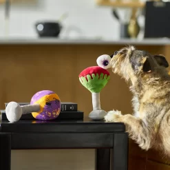 Frisco Halloween Cocktail Plush Squeaky Dog Toy 7 Frisco Halloween Cocktail Plush Squeaky Dog Toy -Frisco Shop 270361 PT3. AC SS1800 V1624817495