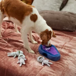 Frisco Halloween Mummy & Coffin Hide & Seek Puzzle Plush Squeaky Dog Toy -Frisco Shop 270365 PT3. AC SS1800 V1624817620